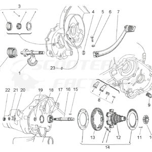 ELÁSTICO Y ARRANQUE